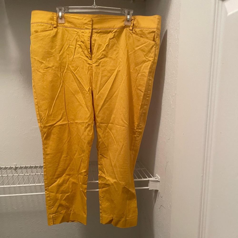 New York & Co Gold Capris Size 20